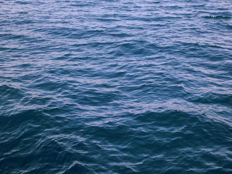 Why Accessibility Overlay Widgets Fail (and Get You Sued)